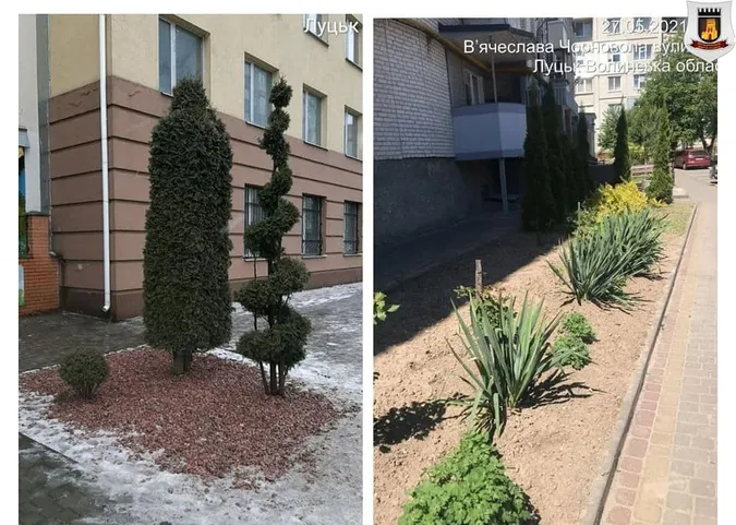 Лучанам нагадали, що городам у місті – не місце (фото)