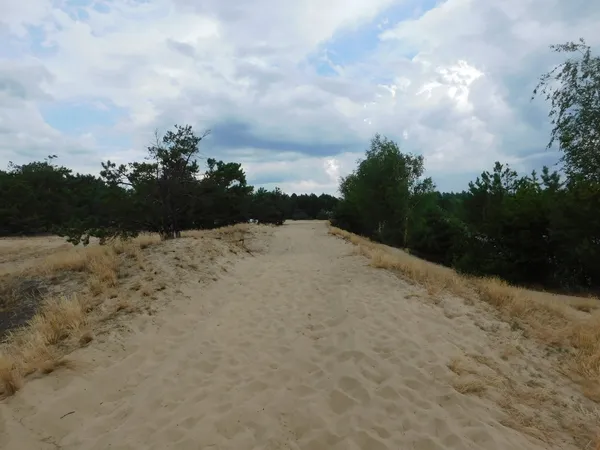 Морські пляжі посеред лісу: на Поліссі причаїлося глибоке озеро з цілющою водою (фото)