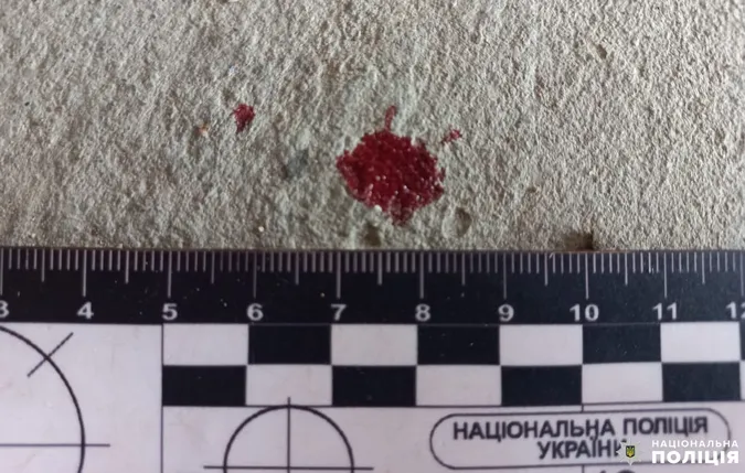 На Рівненщині 43-річний чоловік вбив матір сокирою (фото)