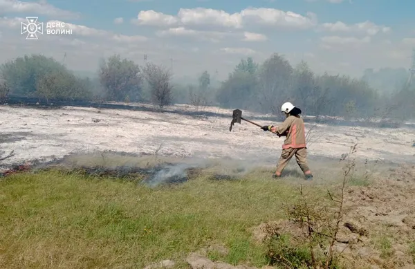 На Ковельщині палали суха трава й чагарники