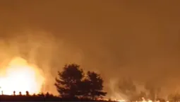 Палало кладовище: на Волині вирують жахливі пожежі (фото)