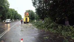 У Луцьку після негоди відновлюють тролейбусні лінії (фото)