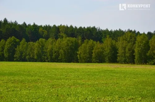 У волинських лісах посилять охорону