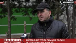 Аномально тепла зима на Волині: як це вплине на врожай (відео)