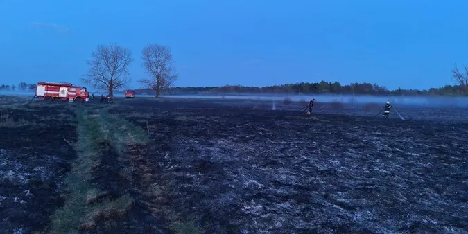 На Волині – масштабна пожежа: горить торфовище (фото)