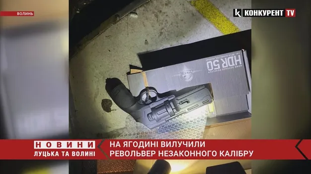 Волинські митники на кордоні зупинили чоловіка з револьвером (фото, відео)