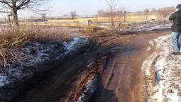 На Волині скаржаться на незаконне скидання тваринних відходів 