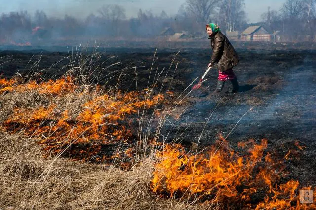 Рятувальники Волині оприлюднили поіменний список паліїв трави