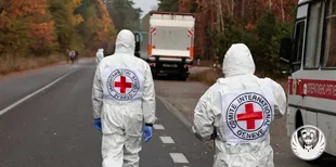 В Україну повернули тіла 252 полеглих захисників