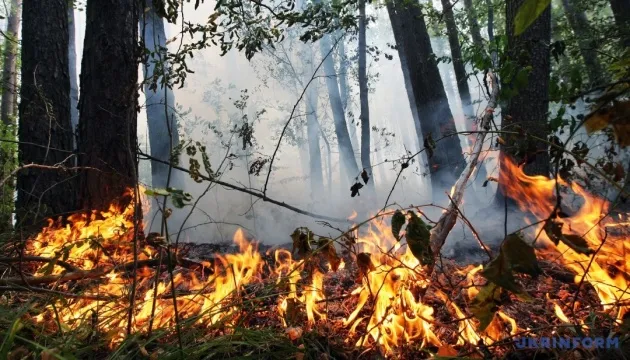 На Волині – надзвичайна ситуація через пожежну небезпеку
