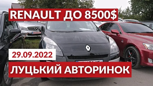 Бюджетні Renault на луцькому авторинку: асортимент та ціни (відео)