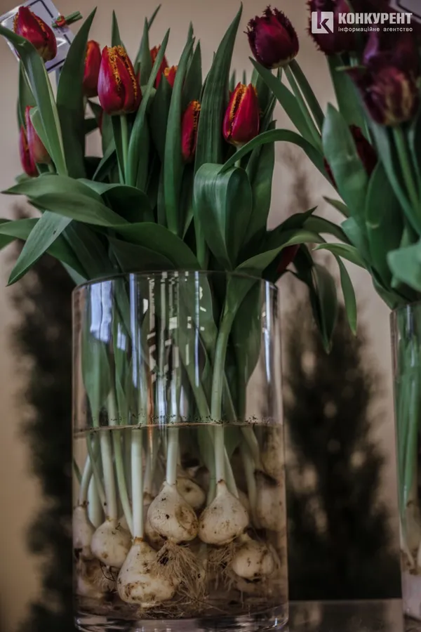 Armani, Dior та ванна у квітах: біля Луцька – pre-party «Волинської Голландії» (фото)