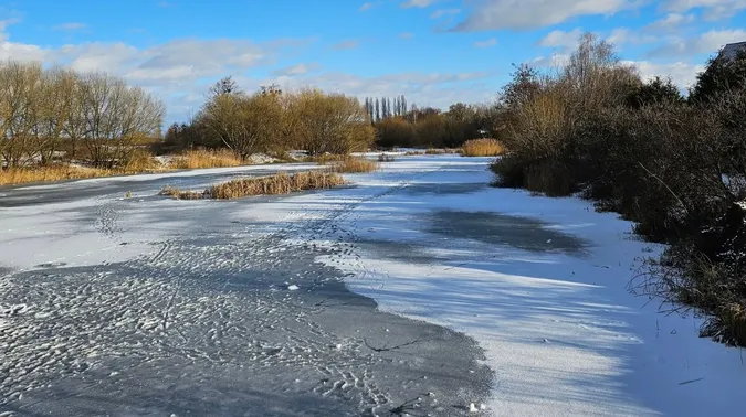 Перехоплює подих від краси: у мережі показали фото луцьких ставків (фото)
