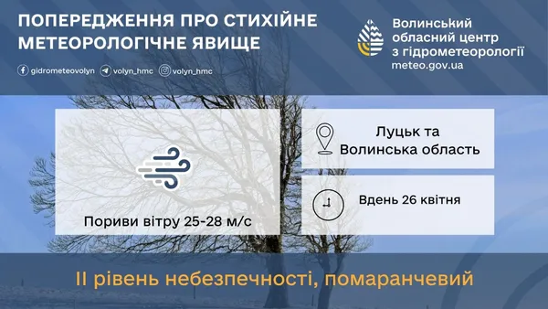 До 28 м/с: Волинь накриє шквальний вітер