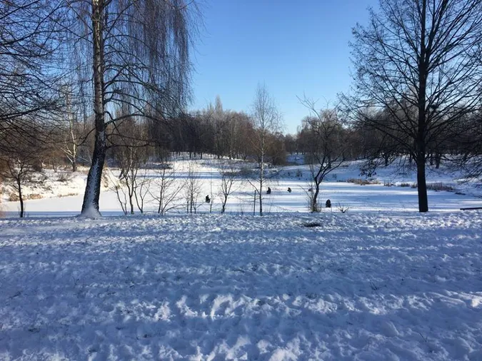 Зимовий парк імені 900-річчя у Луцьку (фото)