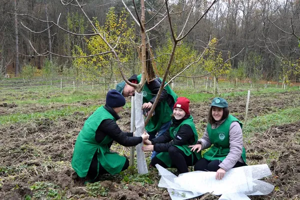 Учасниками заходів Лісівничого молодіжного центру стали майже десять тисяч дітей та дорослих