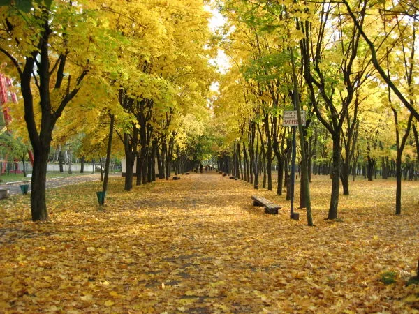 Землю, що біля парку 900-річчя в Луцьку, повернули громаді