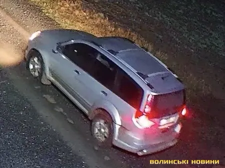 Поблизу Луцька невідомі на джипі розстріляли собаку (фото, відео)