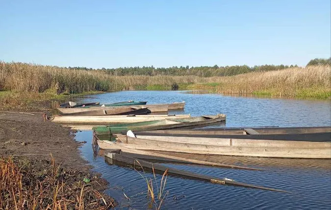 В мережі показали осінні світлини з річки Стохід (фото)