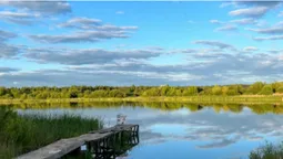 Глибоке і з прозорою водою: біля Луцька є озеро, де водиться багато риби (фото)