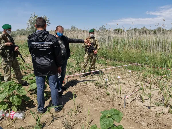 Молдаванин вів свою наречену в Україну через очерет, щоб познайомити її з родичами