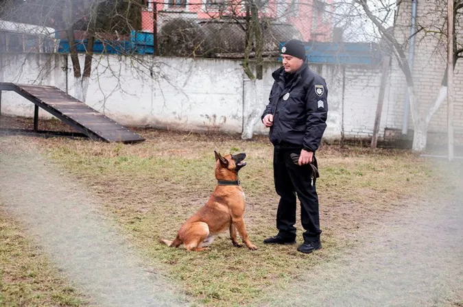 Відбираємо собак за характером, – полісмен-кінолог Волині про службу із чотирилапими напарниками (інтерв’ю)