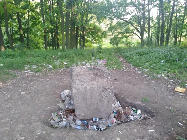 У Луцьку ботанічну пам'ятку природи перетворили на смітник (фото)