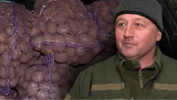 Німецька та голландська: на Волині ветеранам та родинам військових безплатно роздають картоплю (фото, відео)