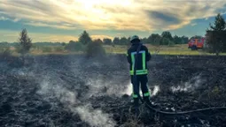 На Волині горять торфовища: вогонь охопив майже гектар території (фото)