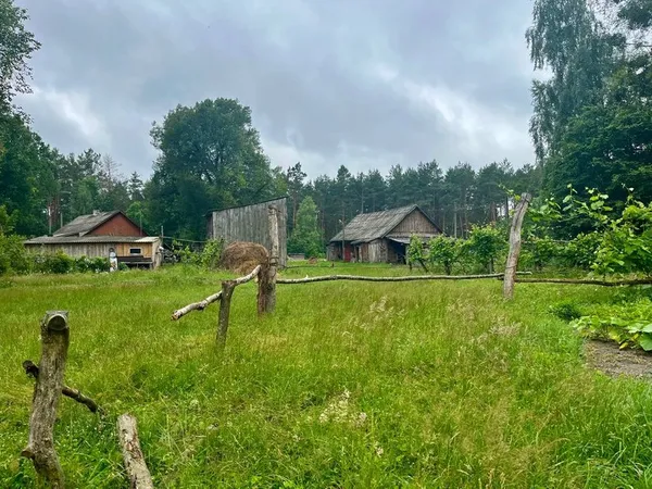 Порізала ліжко бензопилою: мешканка волинського хутора показує в Tiktok, як господарює сама (відео)