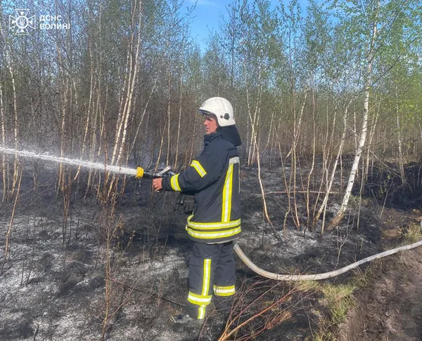 Горіло у трьох районах: на Волині рятувальники ліквідували масштабні пожежі (фото)