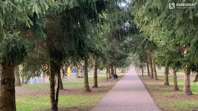 «А за вікном майже весна»: як луцький парк її зустрів (фото)