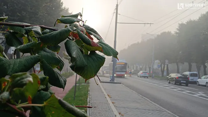 Сайлент Хілл по-луцьки: місто в тумані (фото)