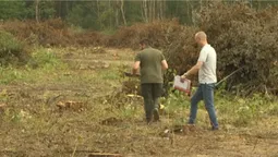 У лісах Луцького району здійняли ґвалт через вирубки: що там коїться (відео)