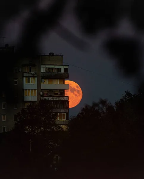 У небі над Волинню «зловили» супермісяць – «Місяць мисливця» (фото)