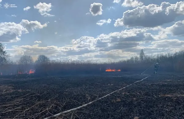 Великдень у вогні: на Волині займання виникали одне за одним (фото)