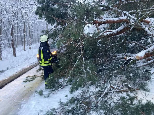 Негода на Волині: рятувальники розчищували дороги від повалених дерев (фото)