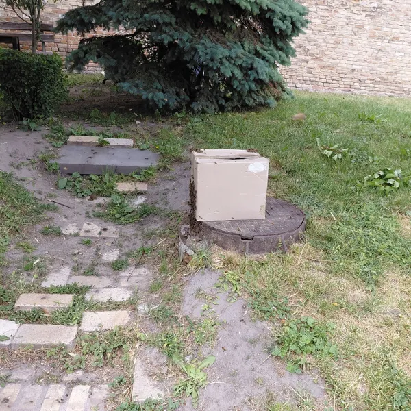 Роками живуть у вежі: у Луцькому замку ловили унікальний бджолиний рій (фото, відео)