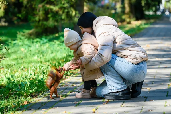 У парку Луцька помітили хтиву білочку (фото)