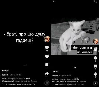 «Без музею якось не чіназес»: луцькі музейники «рвуть» тікток (відео)