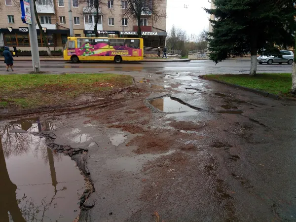 Лучани нарікають на «страшні» тротуари на проспекті Волі (фото)