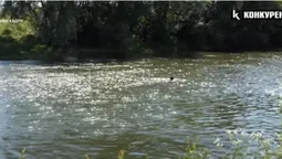 У ставку в Луцькому районі потонув пенсіонер (відео)