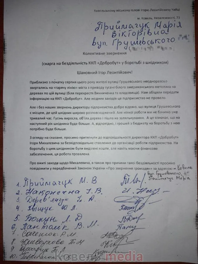 На Волині містяни просять покарати директора «Добробуту» за «боротьбу» з метеликом