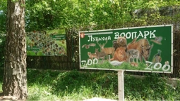 Як у Луцькому зоопарку живе нова зірка Браузер (відео)