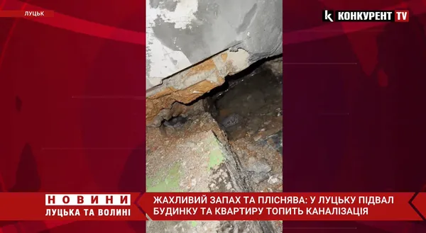 Жахливий запах та пліснява: у Луцьку дощова вода топить квартири та підвал багатоповерхівки (відео)