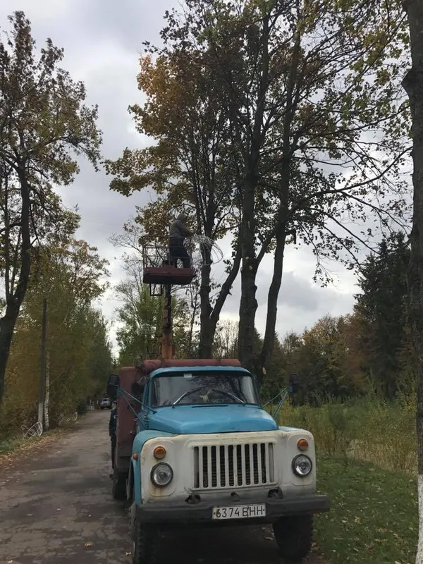 У Луцьку продовжать «Алею парасольок» (фото)