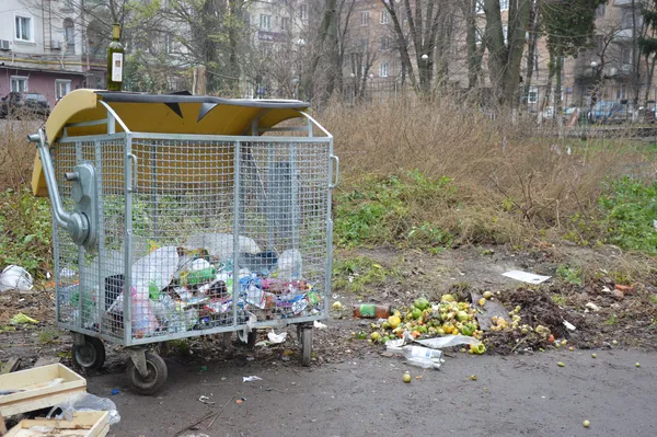 Неподалік мого дому аж три спеціальні контейнери для пластикових пляшок...