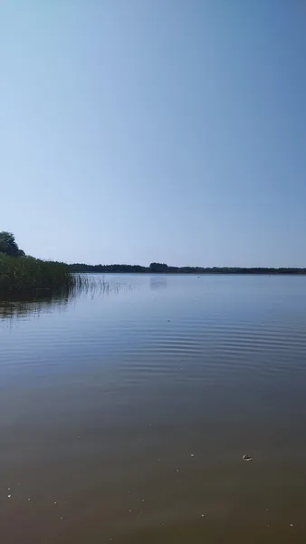 Неглибоке і тепле: де на Волині є озеро з чистою водою (фото)