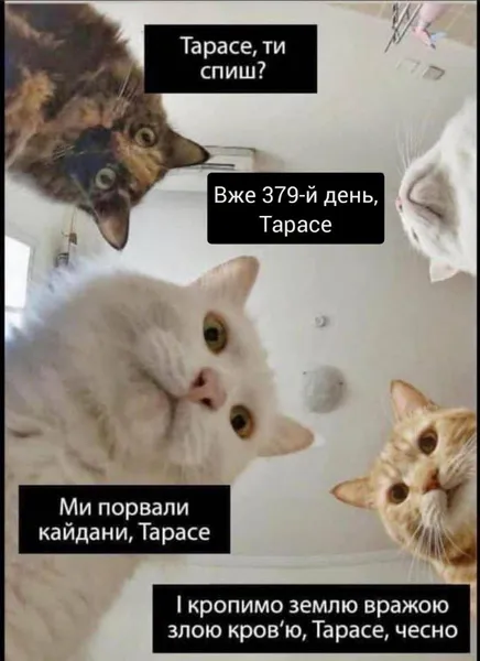 Борітеся – поборете: життєві меми на день народження Шевченка