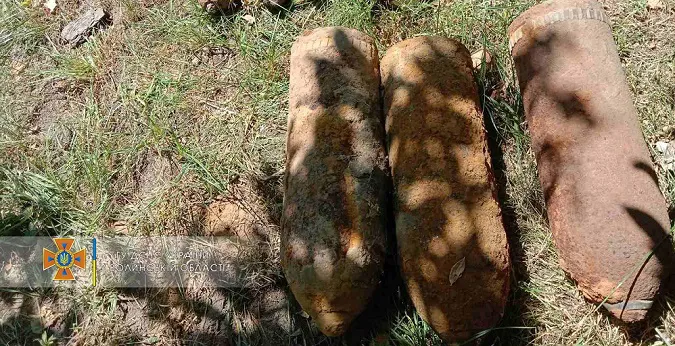 У лісах і в полях: за добу на Волині знайшли 17 снарядів й мін (фото)